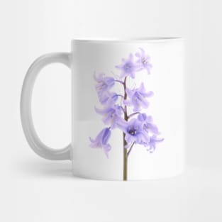 Bluebell Mug